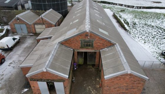 dji_fly_20250108_112856_412_1736336148561_photo